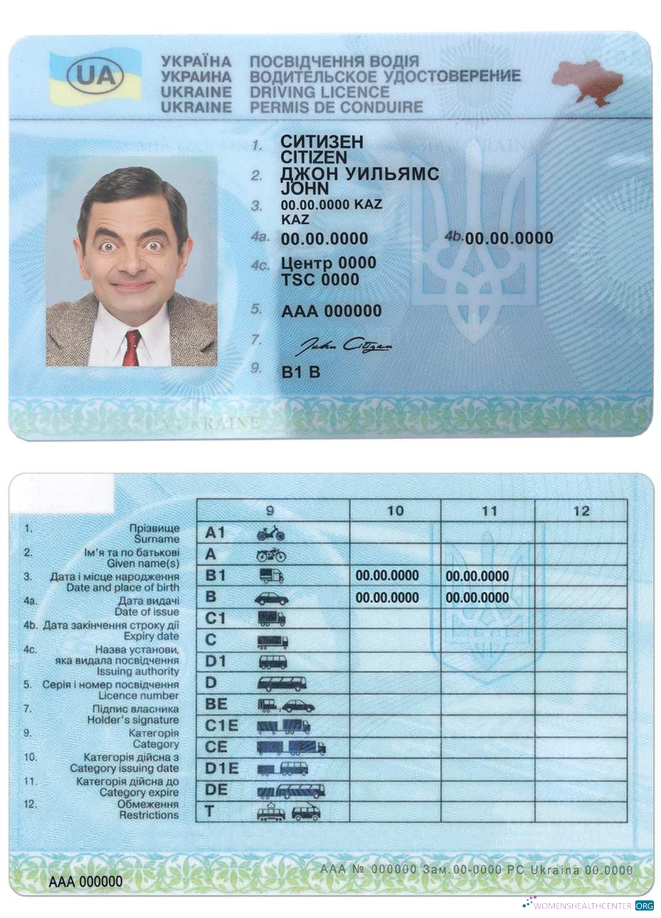 download Ukraine driving license (2016 2021)